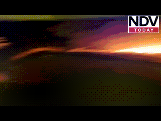 दमकल के इंतजार में सब कुछ खाक! 5000 मुर्गियों की क्षमता वाला फार्म आग में स्वाहा